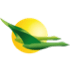 AeroLogic